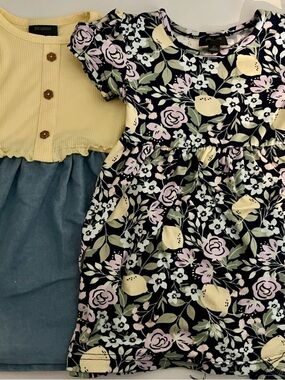 BUNDLE - Soft 2T spring/summer dresses